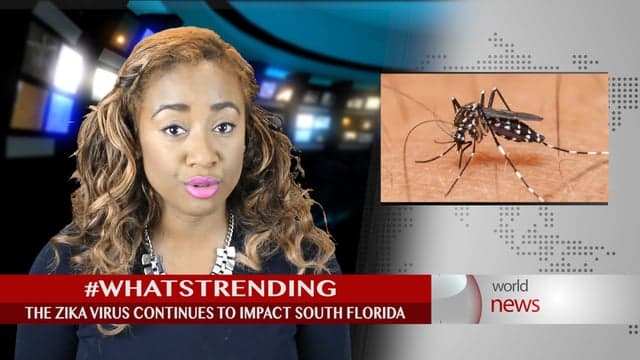 Zika still plagues Miami-Dade; Three more cases confirmed