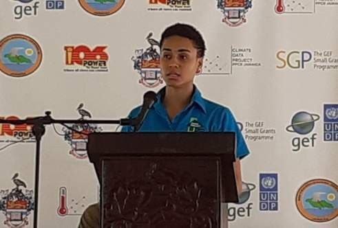 Jamaica to benefit from Green Climate Fund