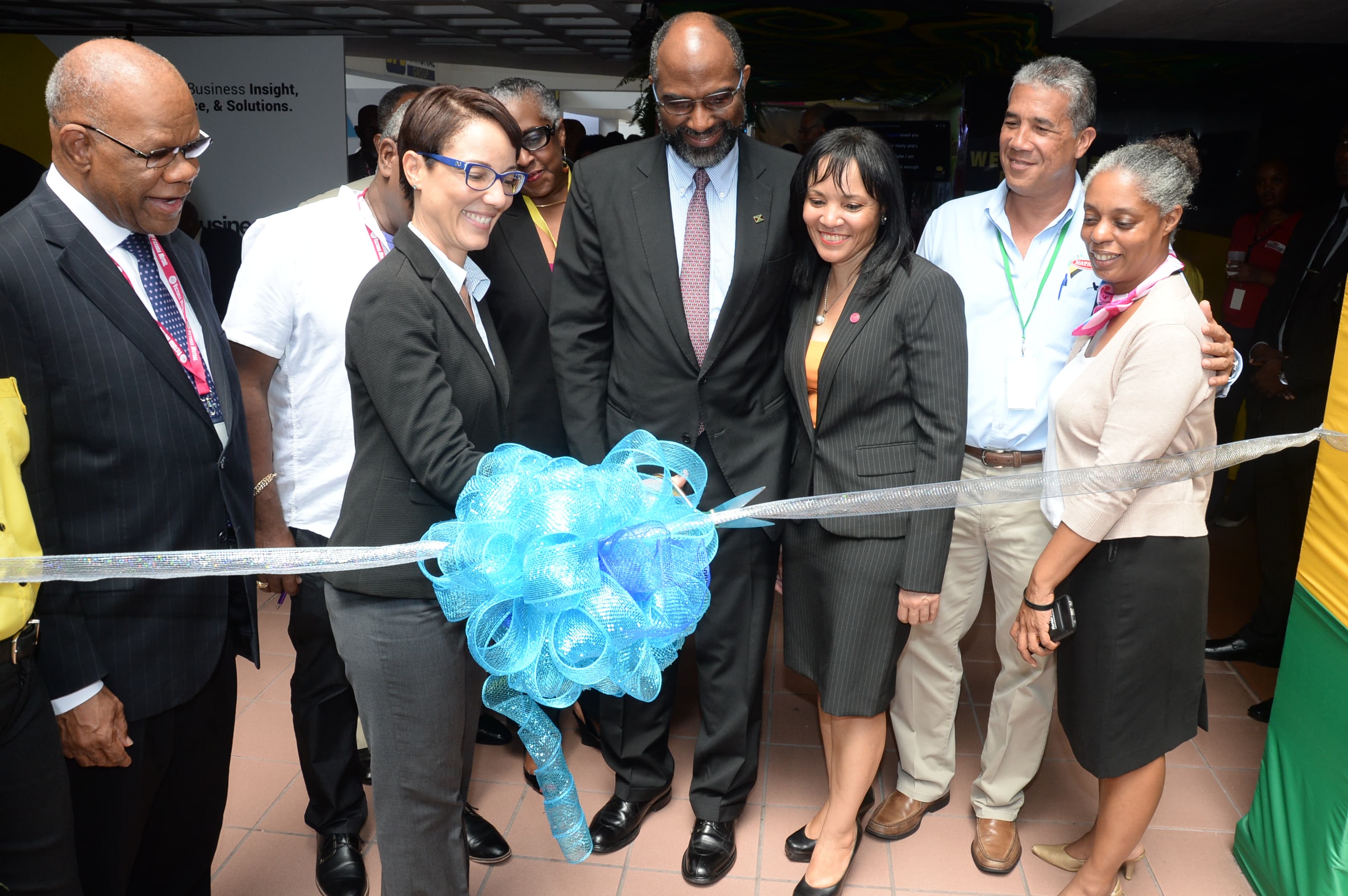 Kingston gets "Thumbs Up" from Diaspora Delegates