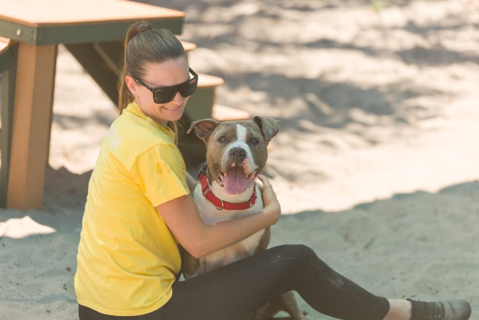 Broward County waives pet adoption fees through July 26 during 'Empty the Shelters' campaign