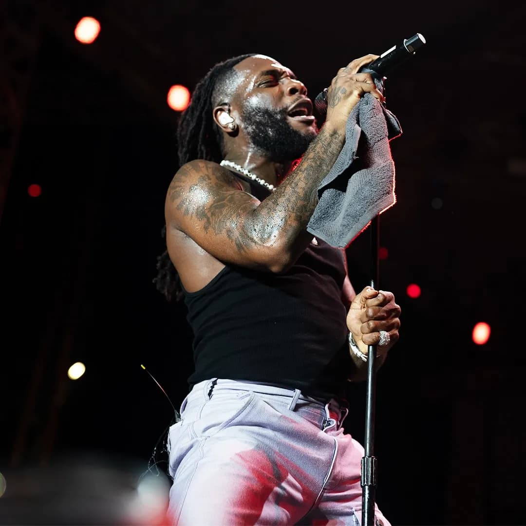 CNW’s Entertainment Year in Review