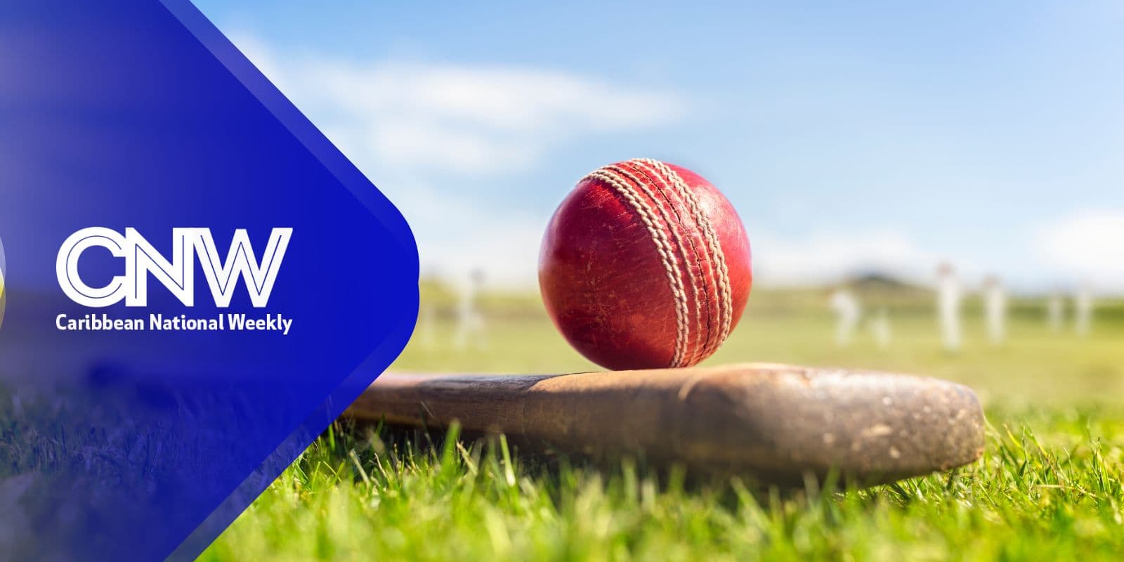 Emerging Ireland completes clean sweep with decisive win over WI Academy