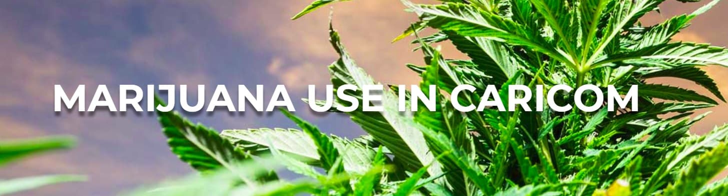 CARICOM’s Marijuana Commission to present report