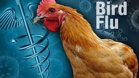 Dominican Republic Government fighting bird flu