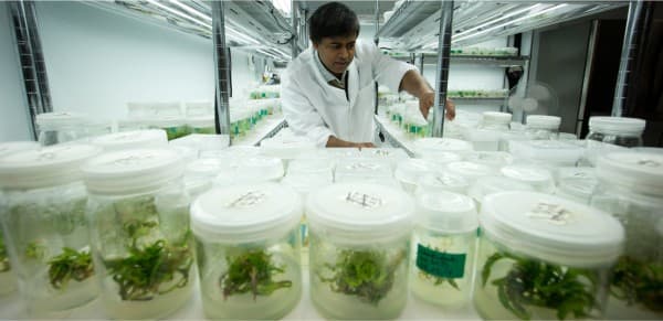 CNW90: Panel to choose medical marijuana nurseries