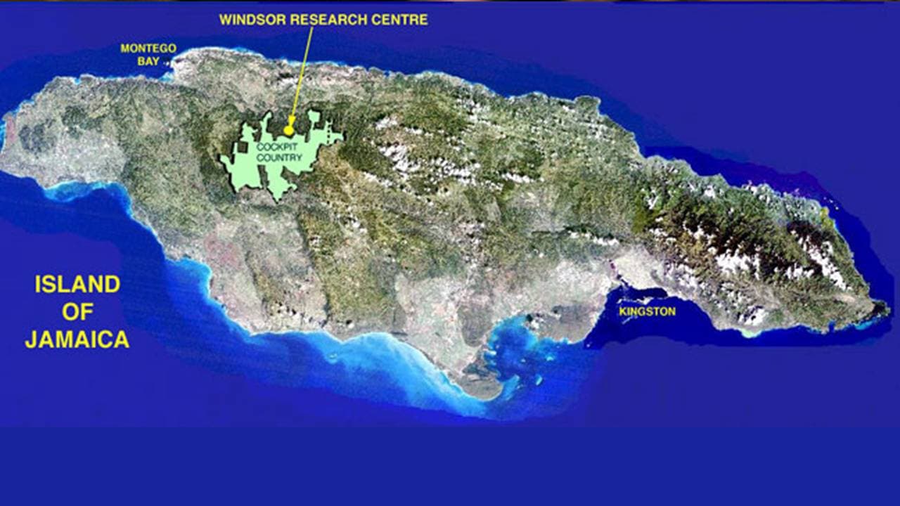 Opposition party in Jamaica calls for ban on mining in Cockpit Country