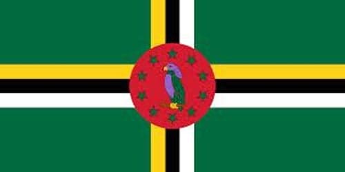Dominica Police detain looters