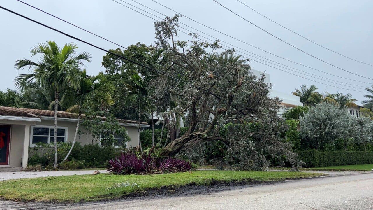 EF-0 tornado leaves trail of minor damage in sections of Fort Lauderdale