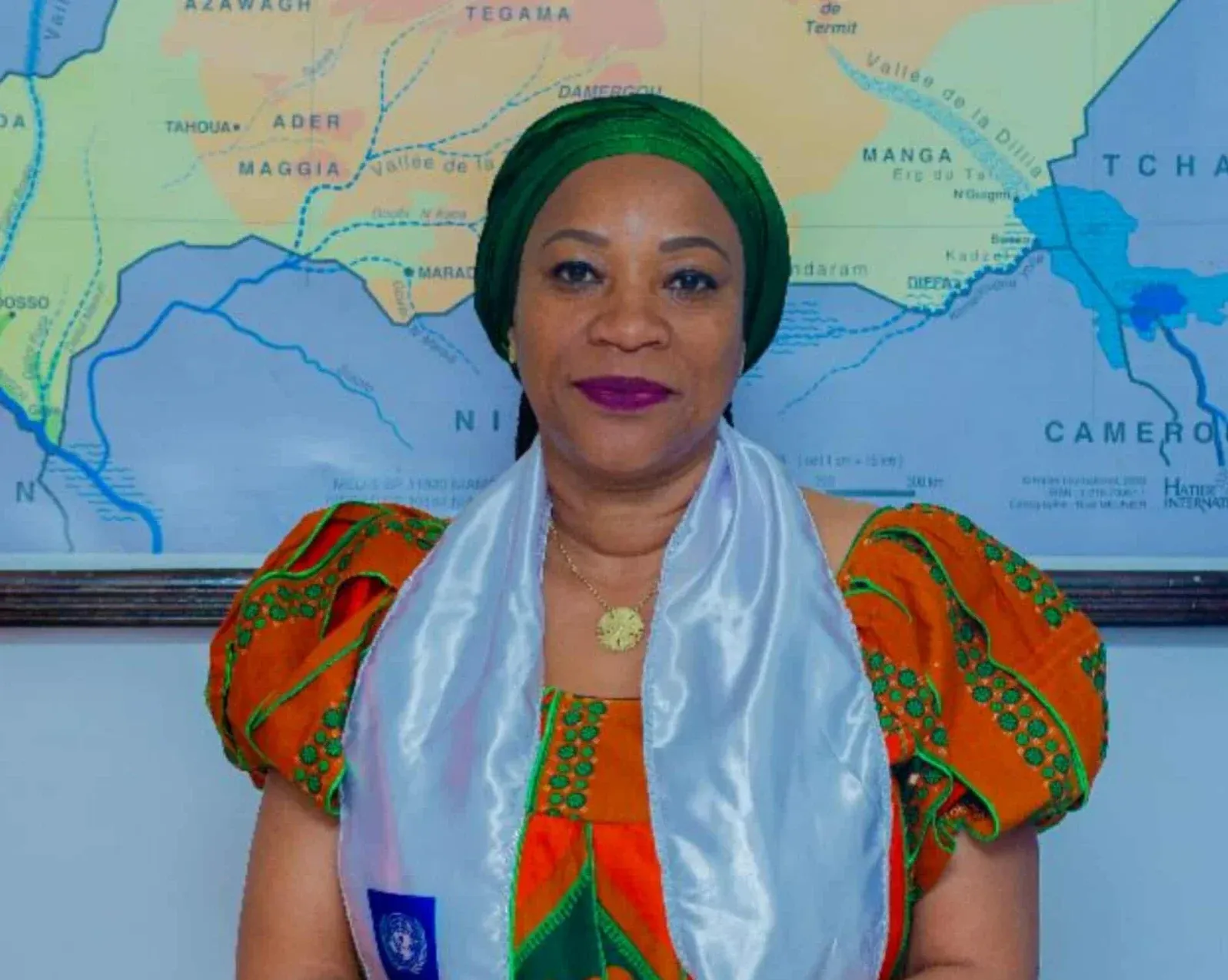 UN sppoints new deputy special representative in Haiti