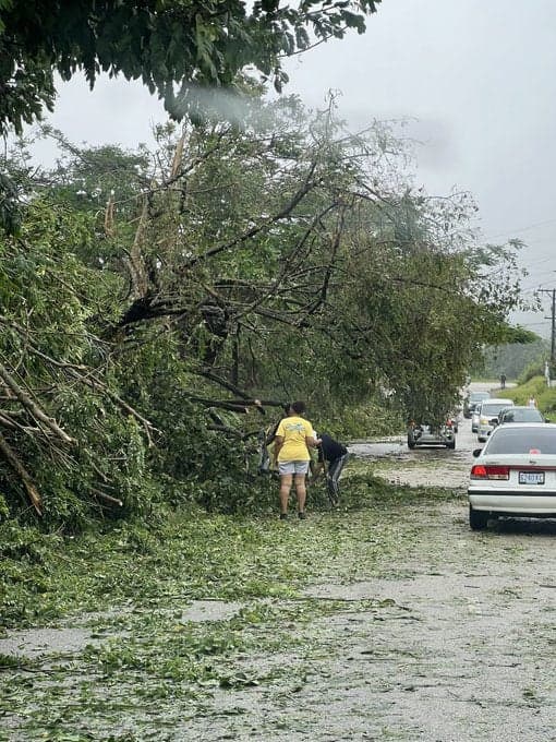 UN allocates $2.5 Million in emergency funds to Jamaica after Hurricane Beryl