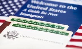 Immigration law and advice