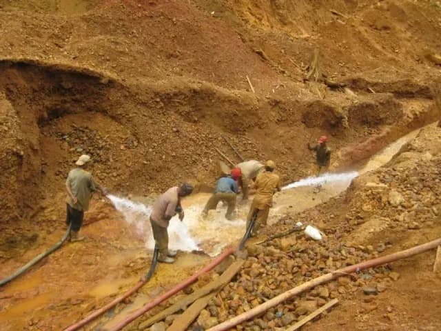 Guyana blacklists more than 100 non-nationals amid illegal mining crackdown