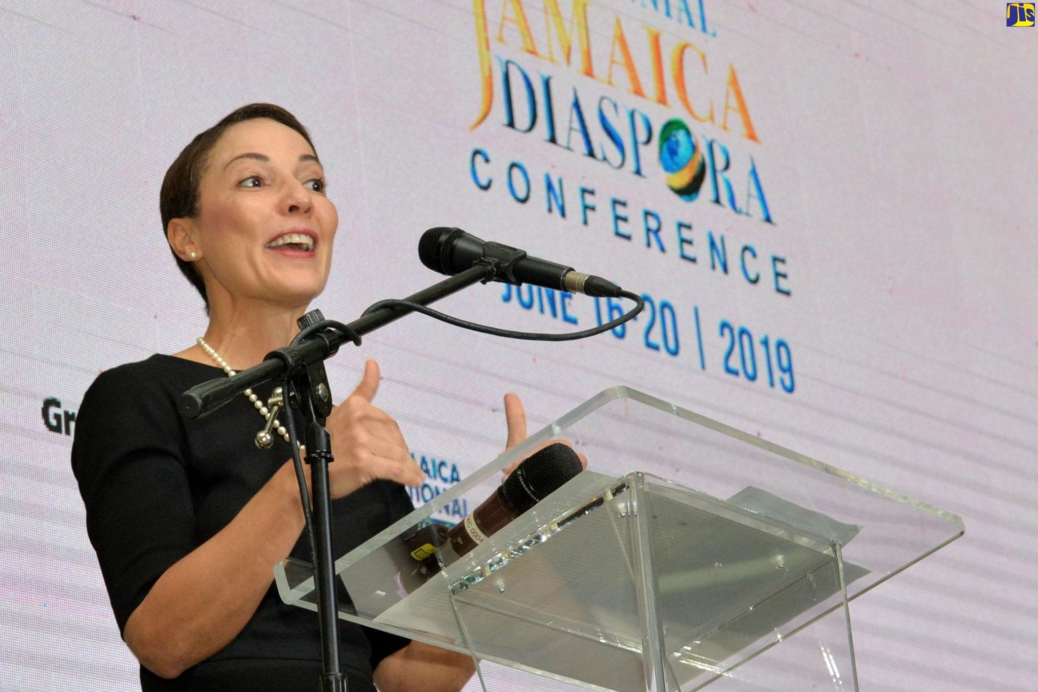 Plans Under Way For 9th Biennial Jamaican Diaspora Conference