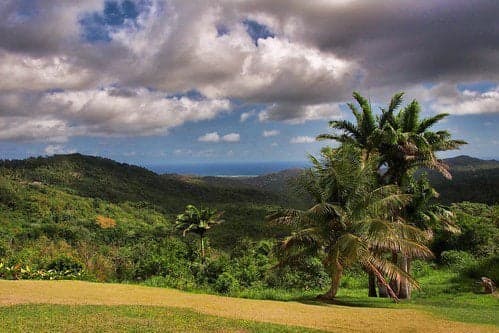 Mount Hillaby on top of Barbados
