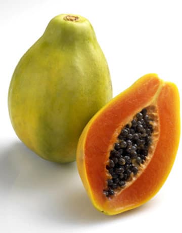 Salmonella infected Papayas