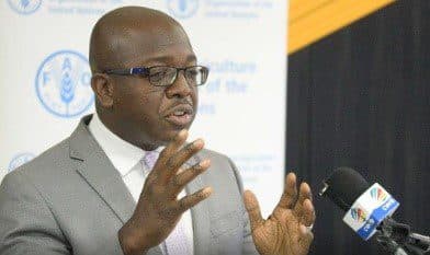 Jamaica to launch wheat flour substitution program