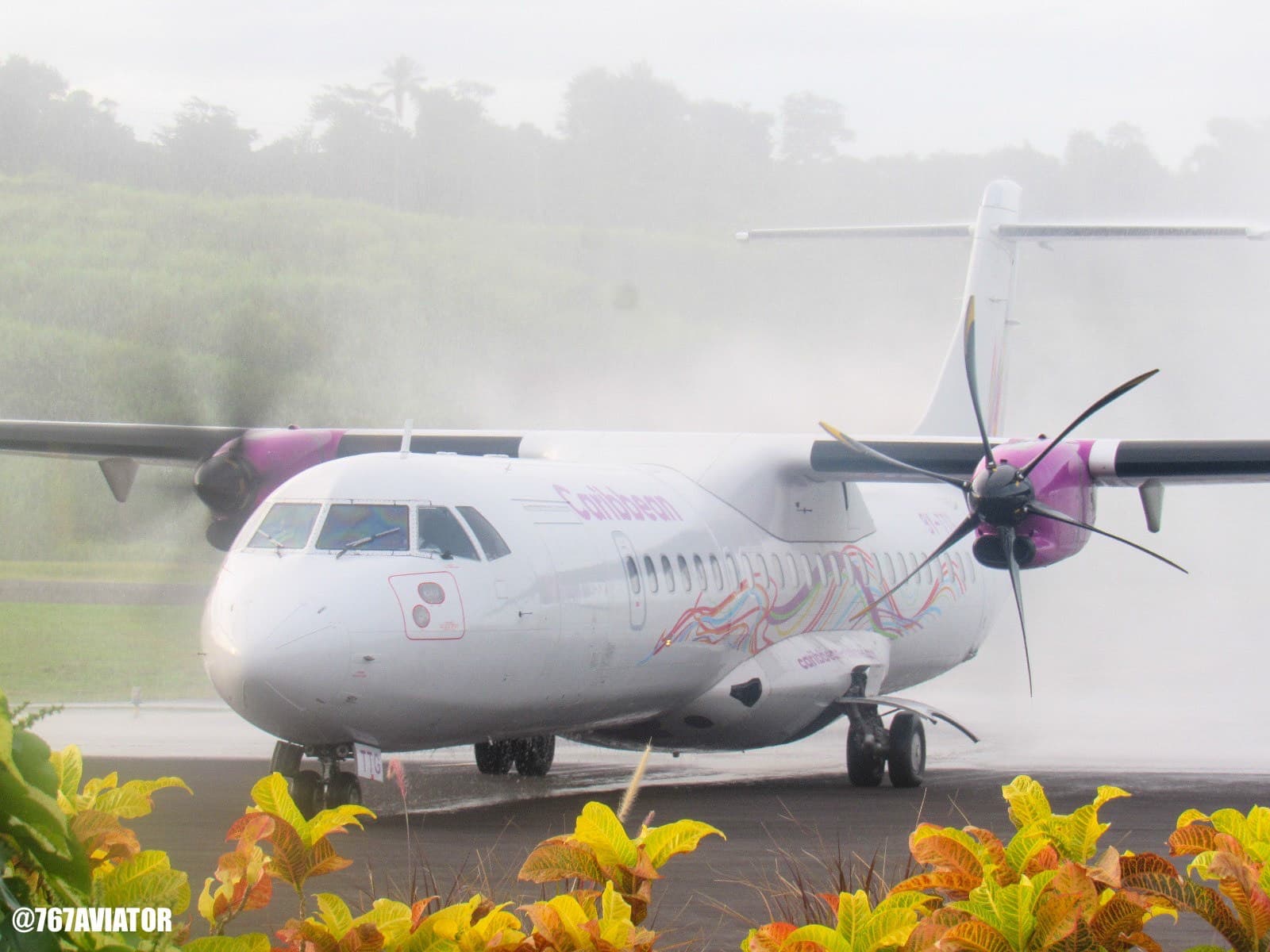 Caribbean Airlines launches non-stop flights between Dominica and Puerto Rico