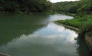 Jamaica to take a structured approach to protect Rio Cobre following latest chemical spill