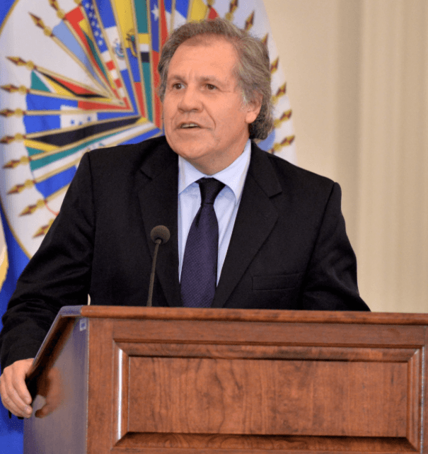 OAS to send observer team to Jamaica