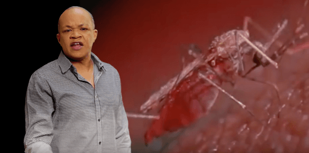 Jamaica Health PSA video about Zika goes viral