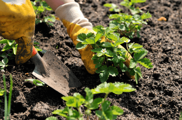 Lauderhill Commissioner to host "Rain Barrel Irrigation" Green Series Event