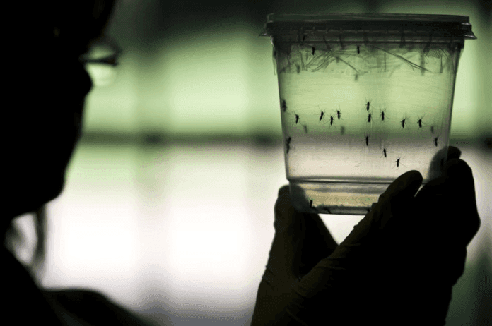 277 potential new Zika cases in Barbados