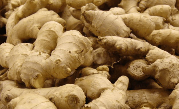 Jamaica Agriculture ministry to increase ginger production for export