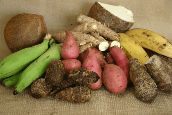 Living Healthy Caribbean