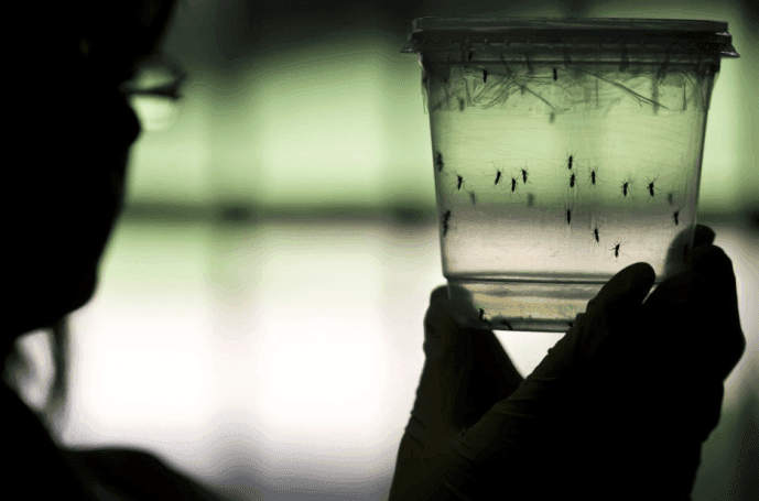 PAHO launches Zika virus research database