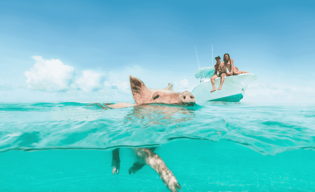 What's new in the Bahamas in March 2023