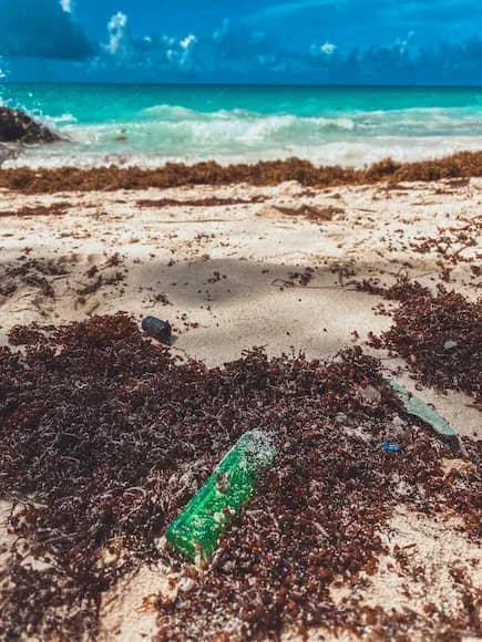 Large mass of seaweed heads for Florida, threatens Caribbean tourism