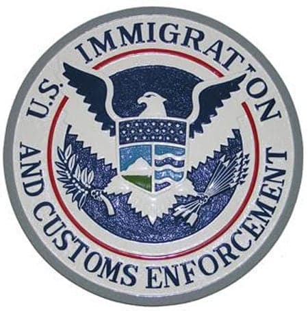 US customs seize live birds from Guyanese passenger at JFK