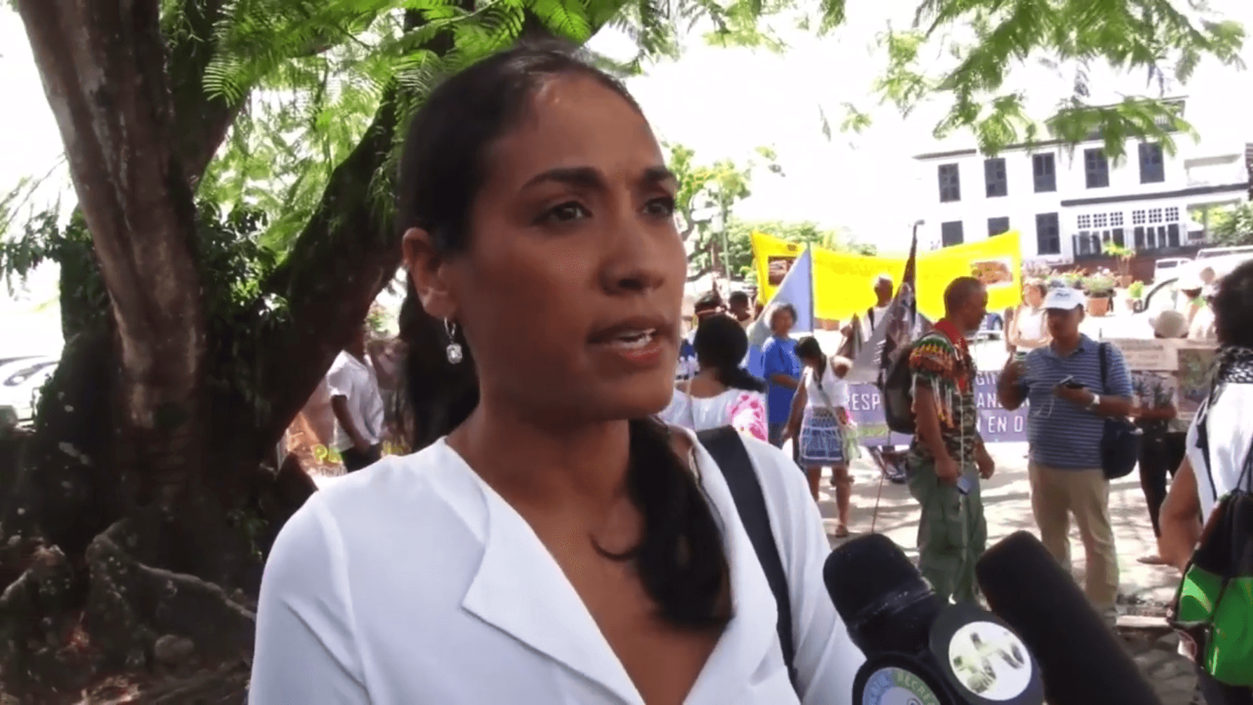 U.S. revokes diplomatic visa of Surinamese official linked to corruption probe, prompting OAS resignation