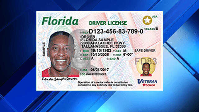 Florida resumes driver’s license processing for TPS holders