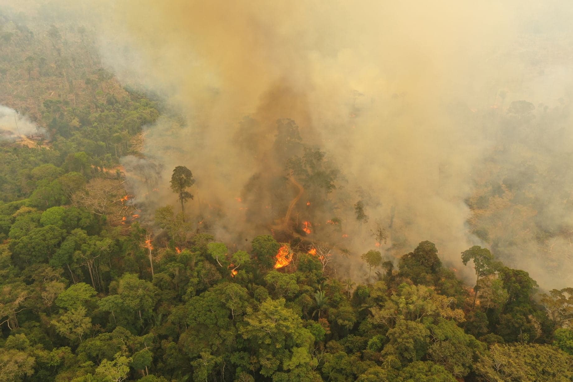 Guyana Says No Direct Impact of Amazon Fires