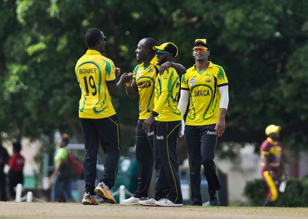 Salmon, Morris lead gritty stand as Scorpions fight back