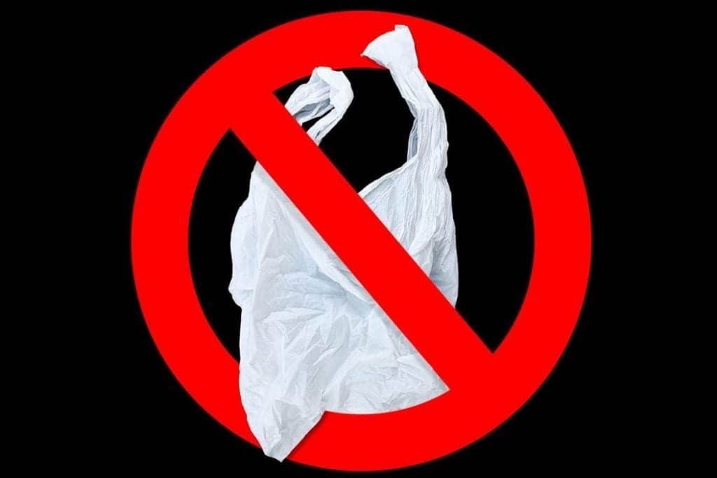 Jamaican Government Plans to Announce Third Phase of Plastic Ban