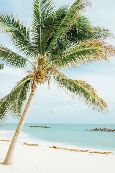 3 reasons why Caribbean Americans love the Florida Keys