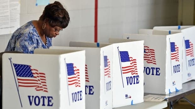 Non-Partisan Group Urges Caribbean Americans to Vote in US Elections