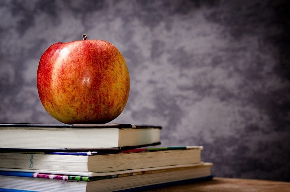 Florida House defines “materials harmful to minors” in ongoing library book debate
