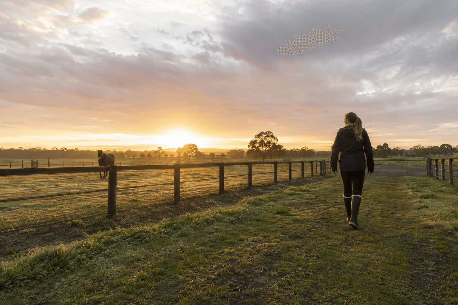 What Makes a Good Pair of Gumboots for Horse Owners?