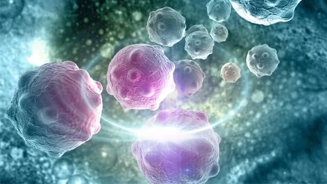 #Editorial: Step Up The War Against Cancer!