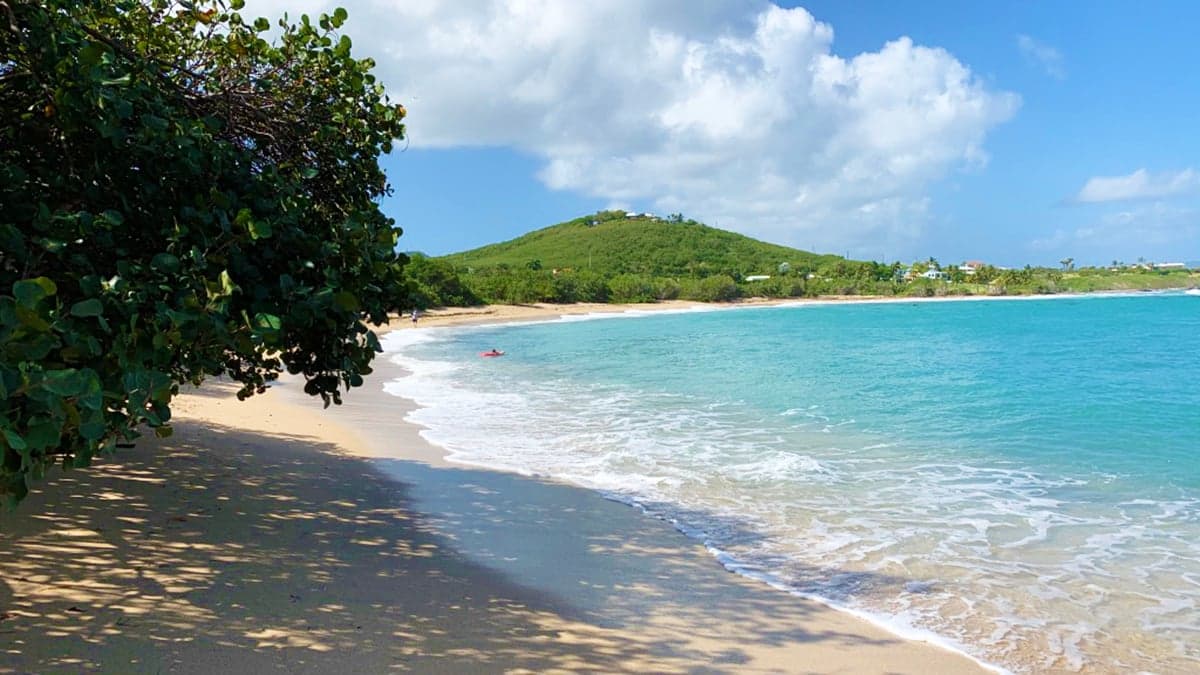CHTA thanks partners as COVID-19 threat level falls and the Caribbean registers record arrivals