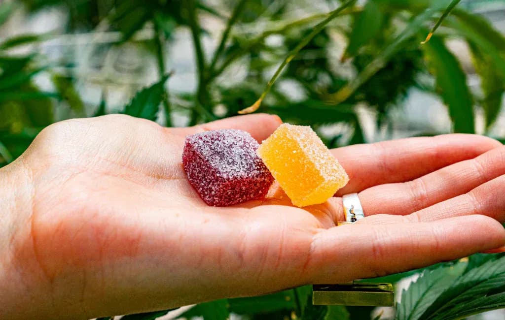 How to pick the right strength of THC CBD gummies