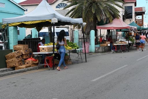 From Partner Hand to Bank Loan: How Caribbean-American Entrepreneurs Are Funding the Next Step