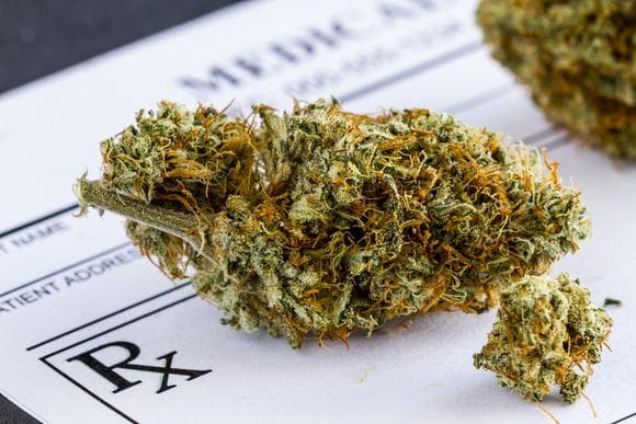 City of Hollywood prepares for medicinal marijuana dispensaries