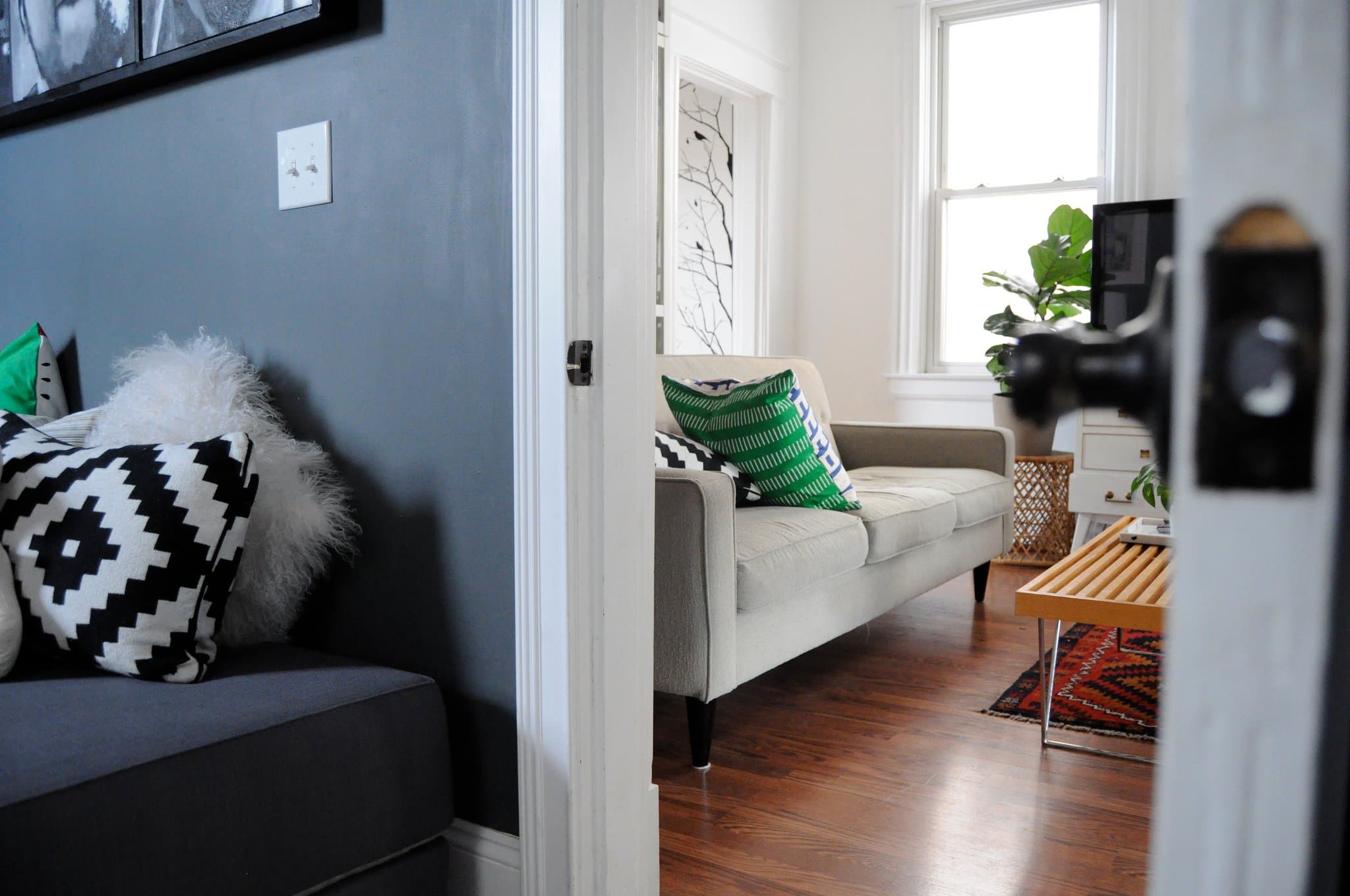 The Truth about Mold