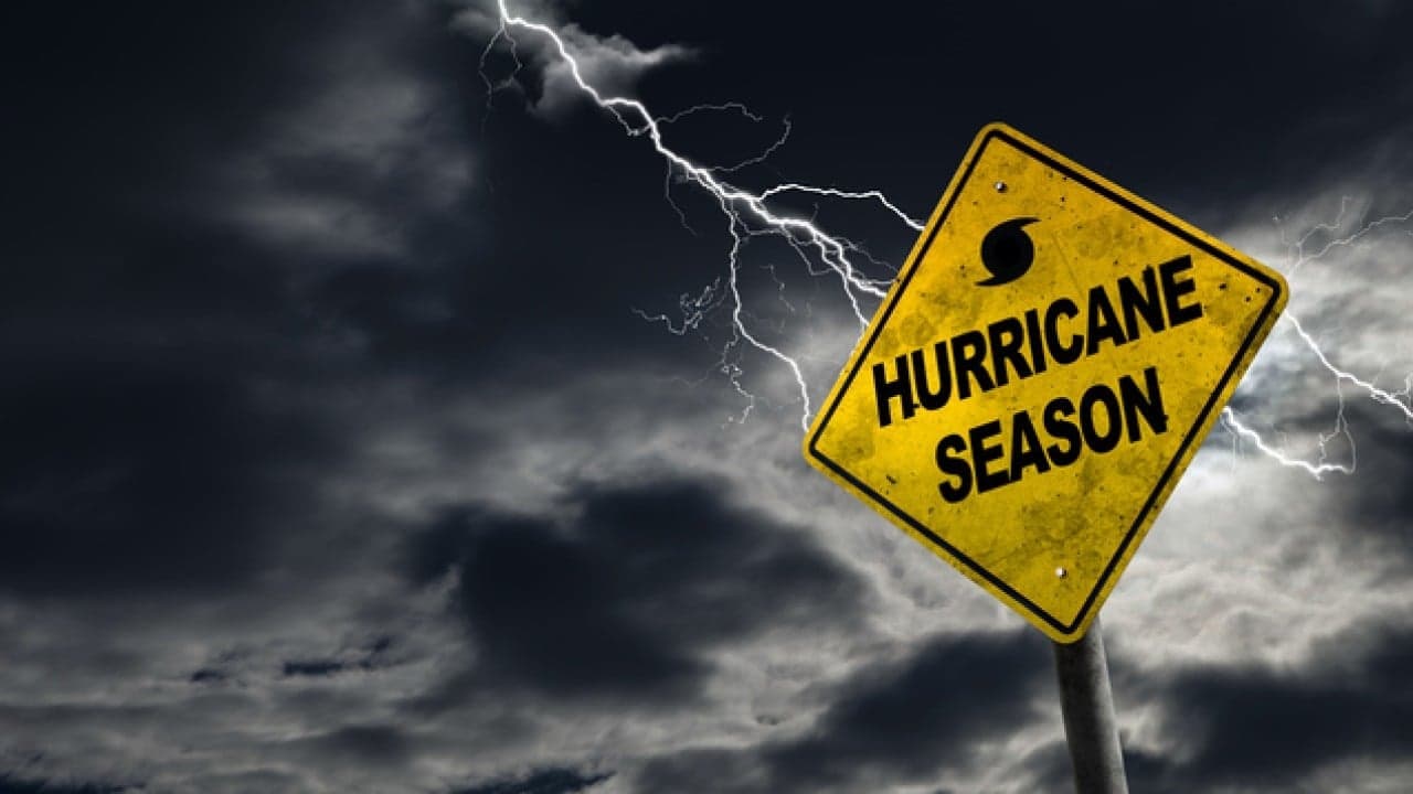 World Meteorological Organization Predicts "Above Normal" Hurricane Season