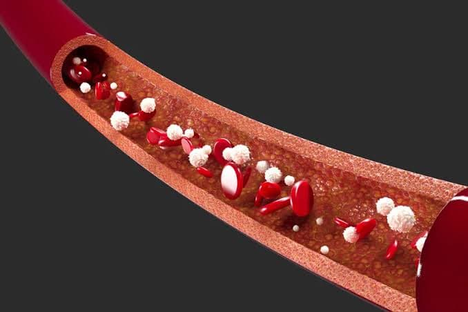 Why Good Blood Circulation Matters Beyond Heart Health