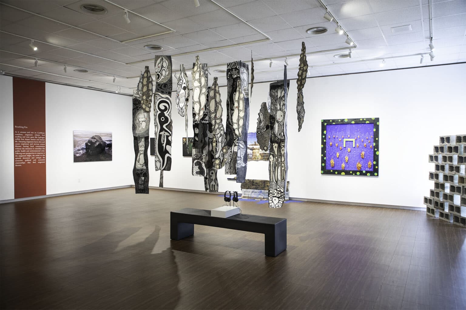 ‘HOMO SARGASSUM’ opens at United Nations, spotlighting ocean pollution